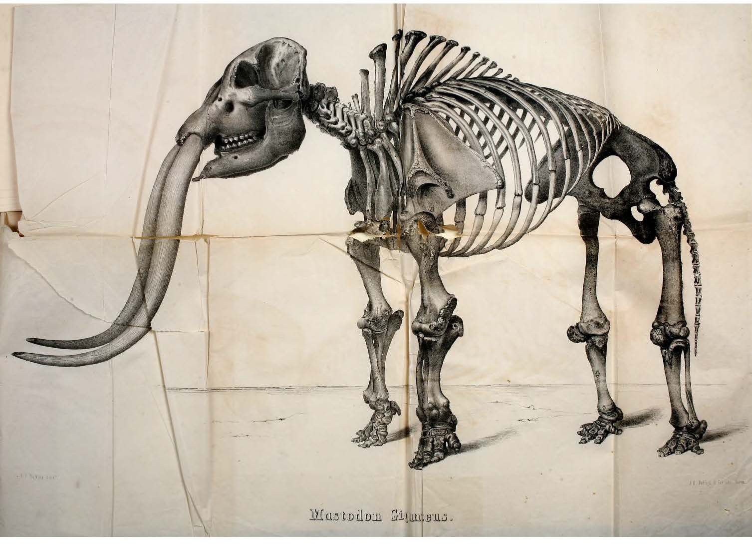 View Full Size Image