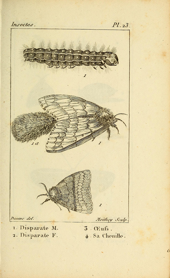 View Full Size Image