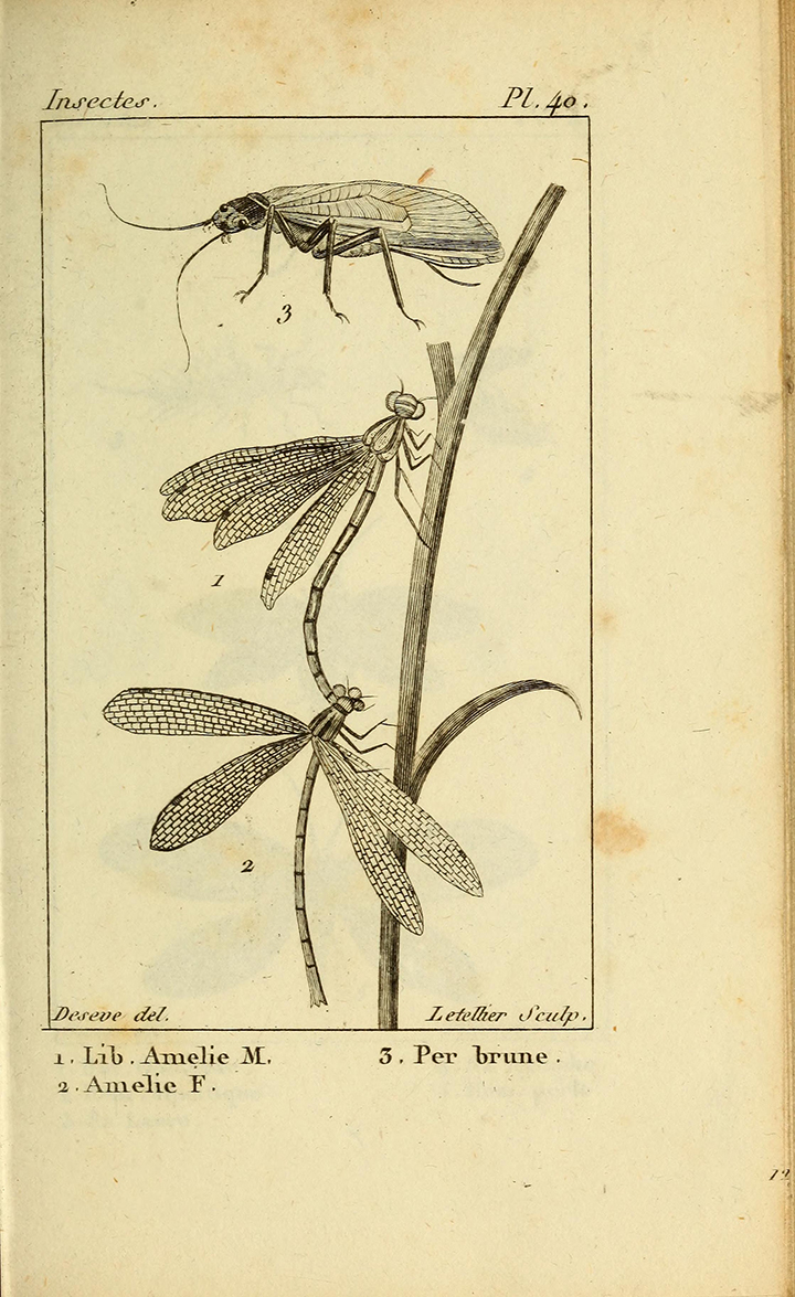 View Full Size Image