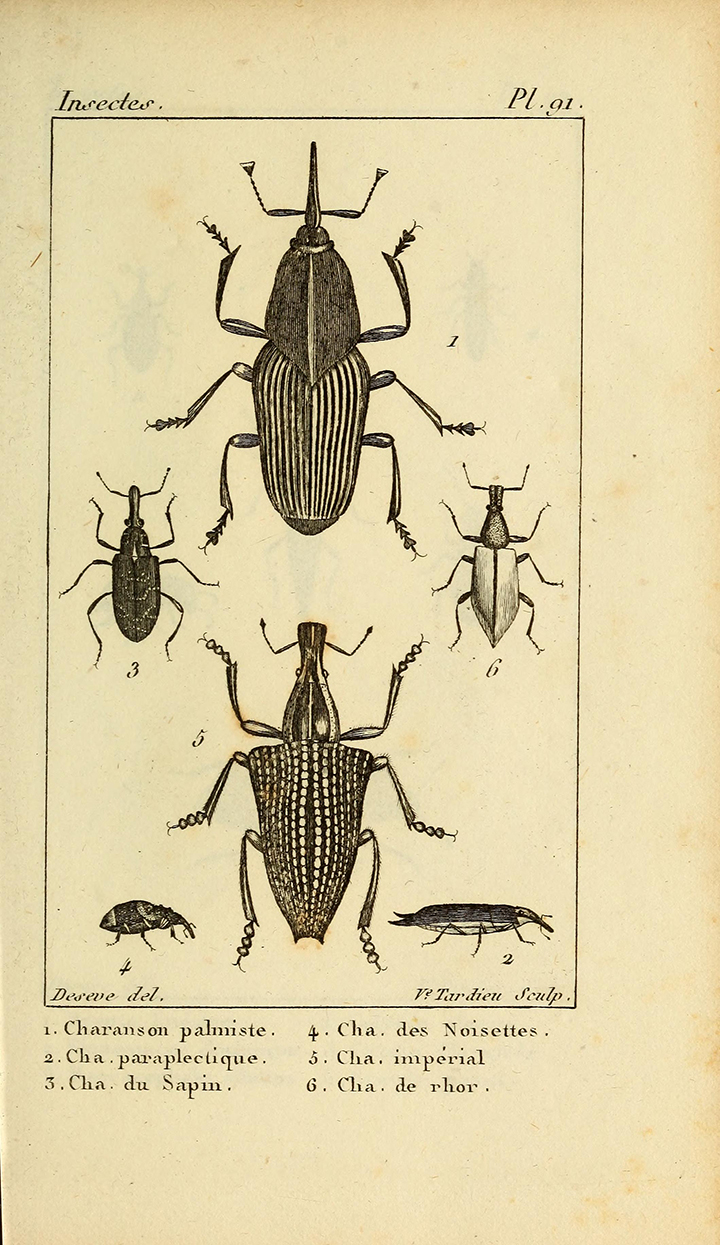 View Full Size Image