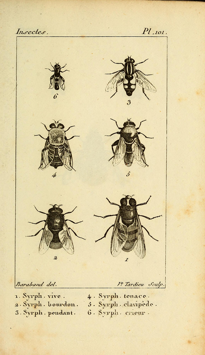 View Full Size Image