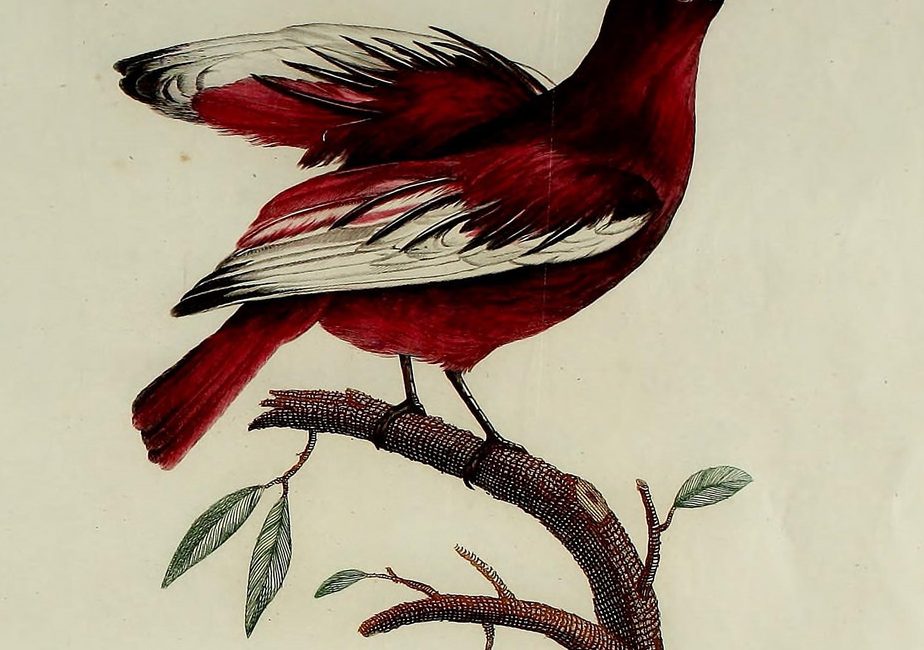 Read the full blog post