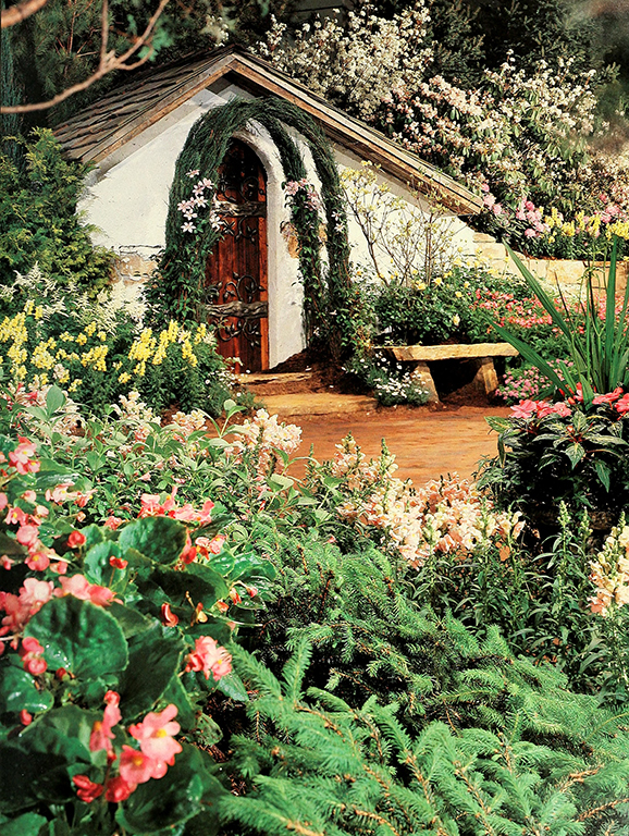 View Full Size Image