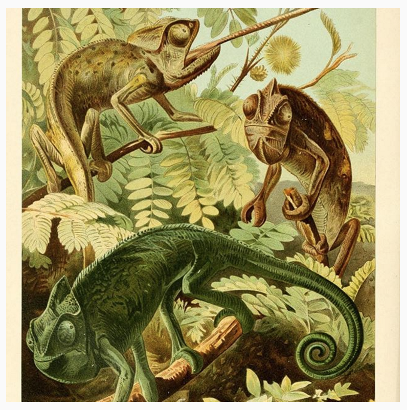 View Full Size Image