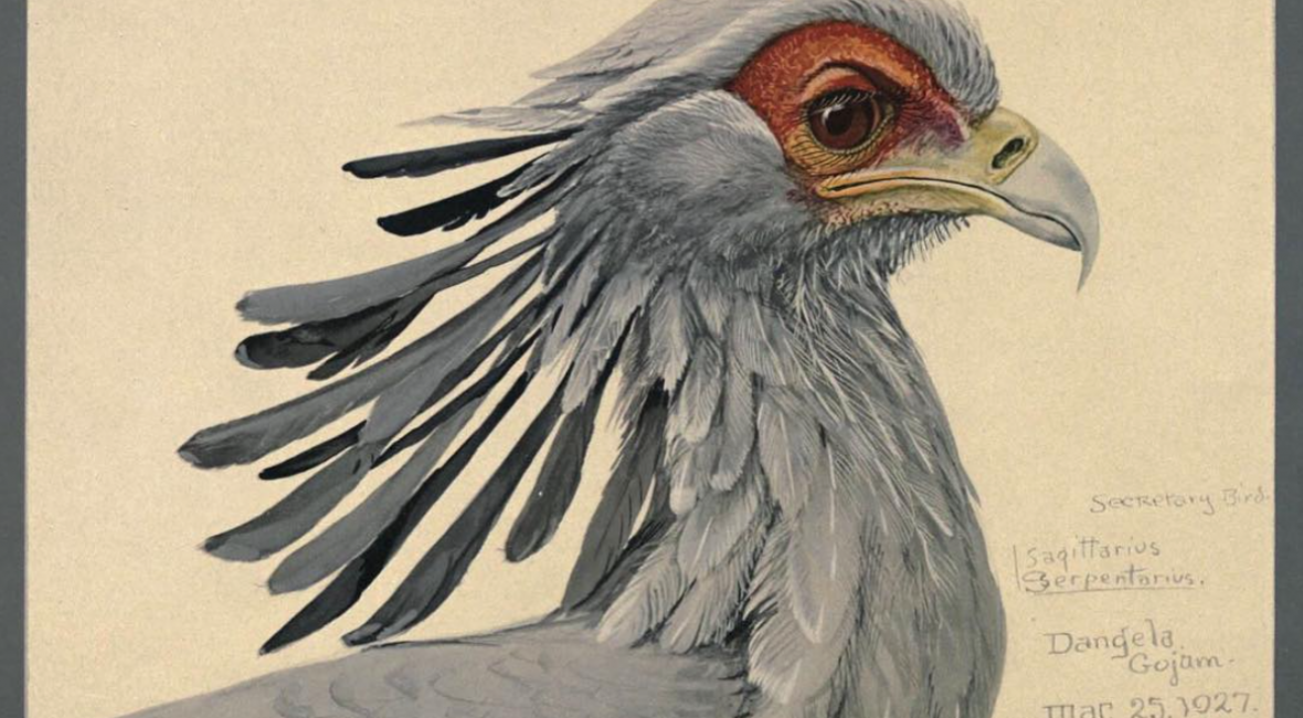 Read the full blog post