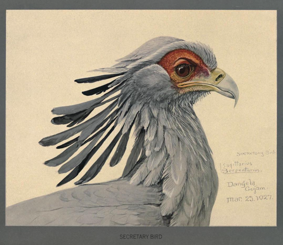 View Full Size Image