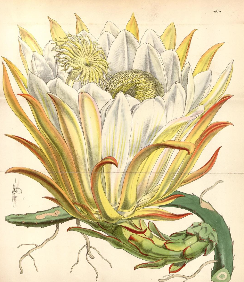 View Full Size Image