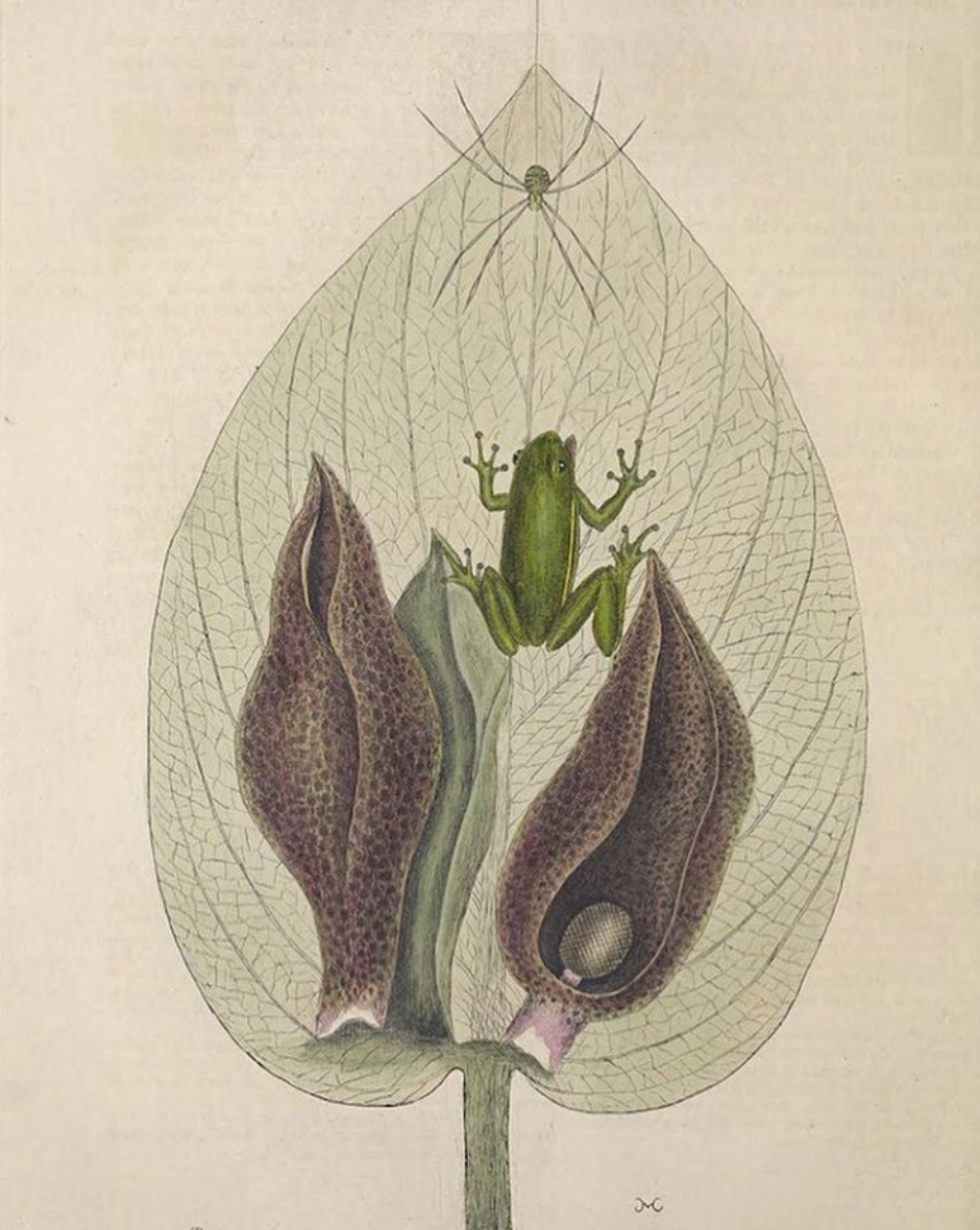 View Full Size Image