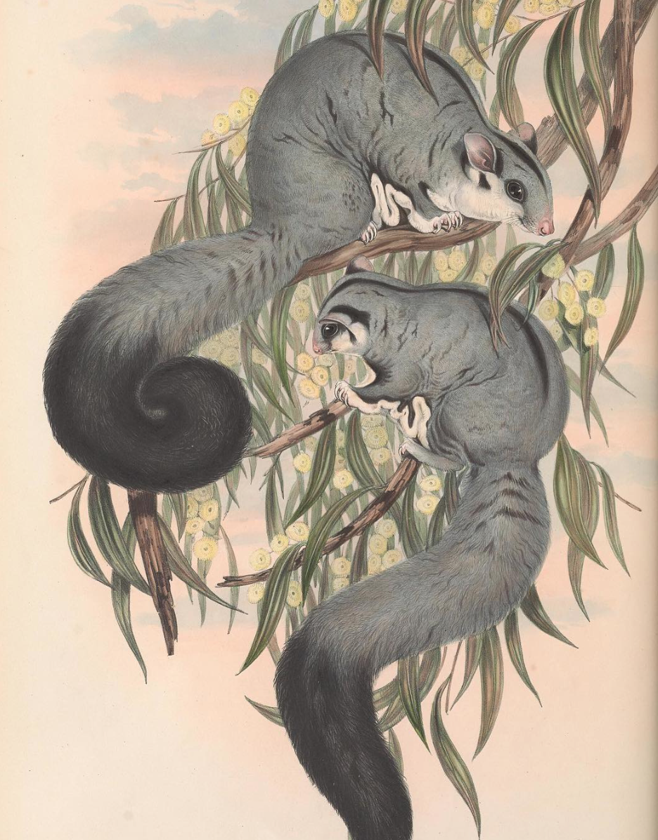 View Full Size Image