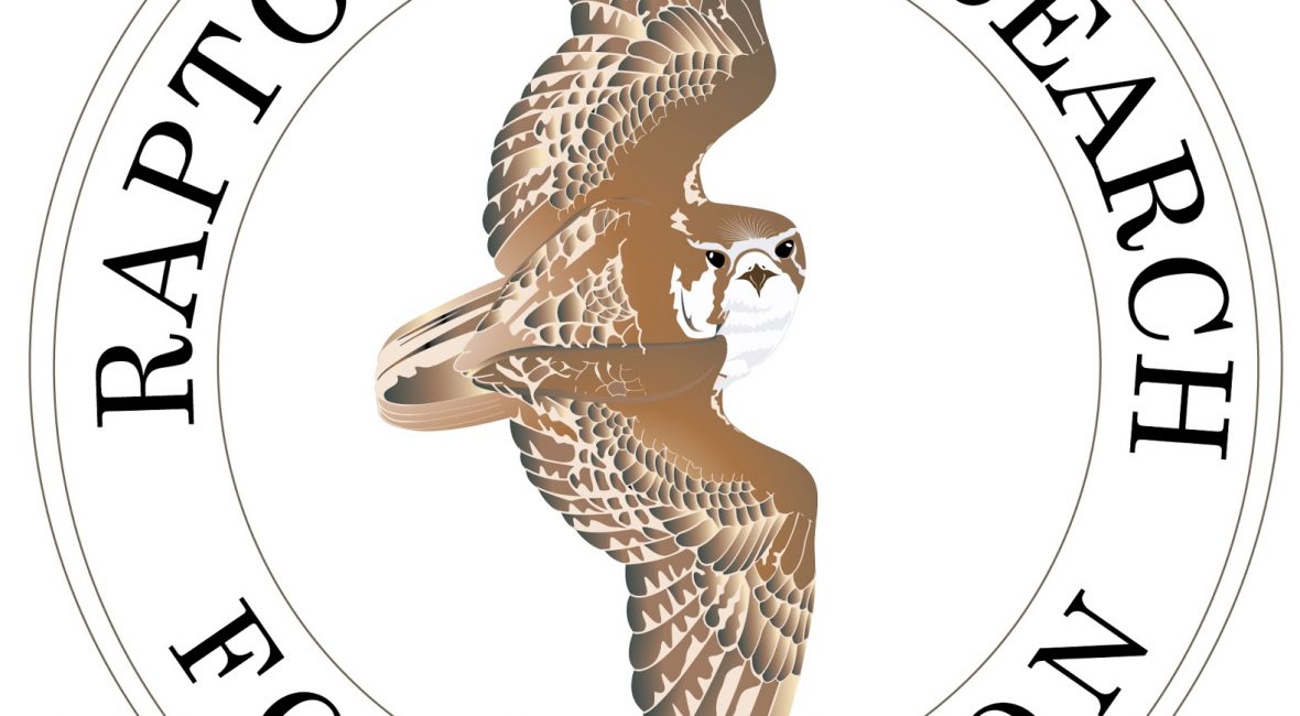 Read the full blog post