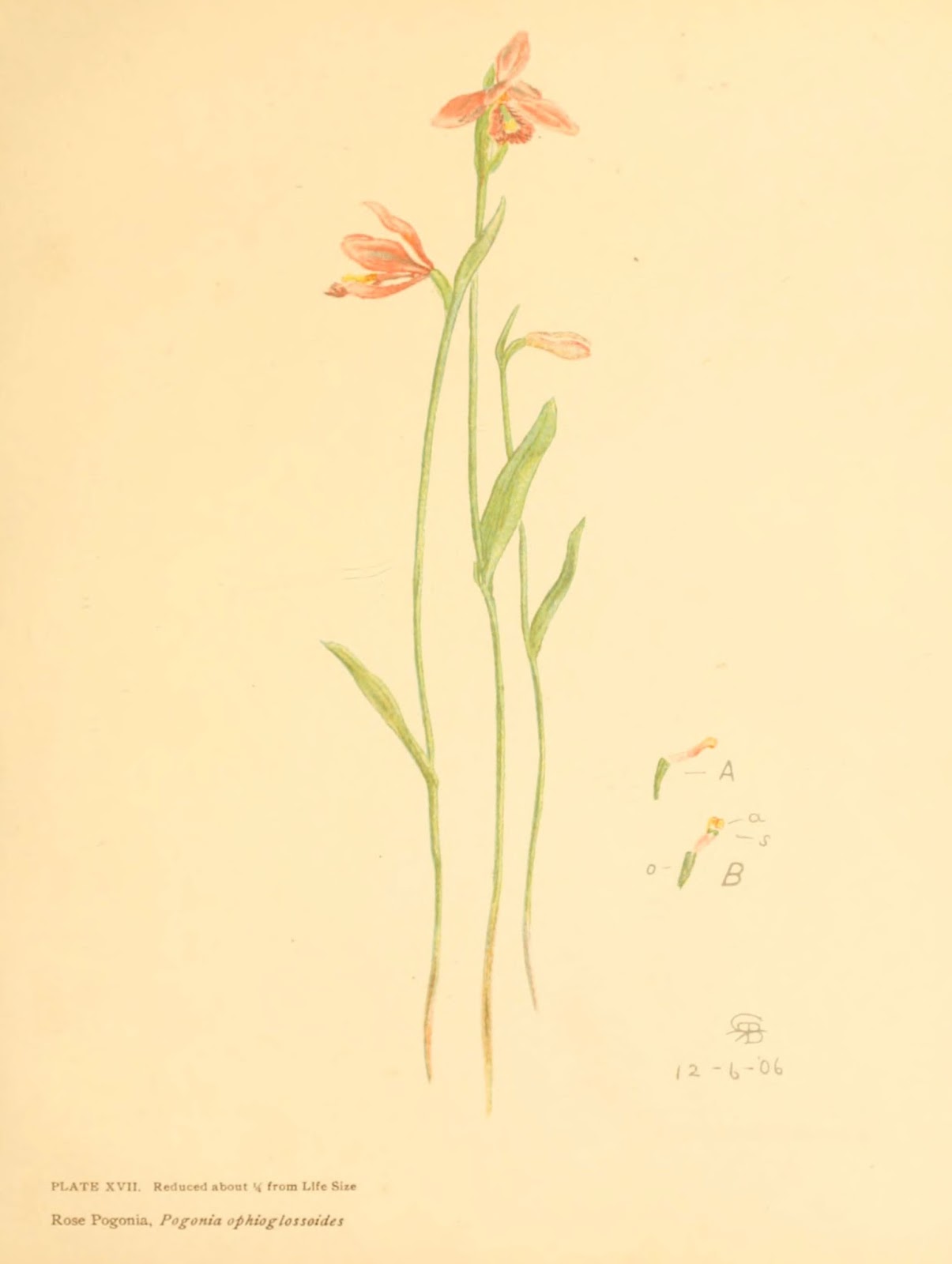 View Full Size Image