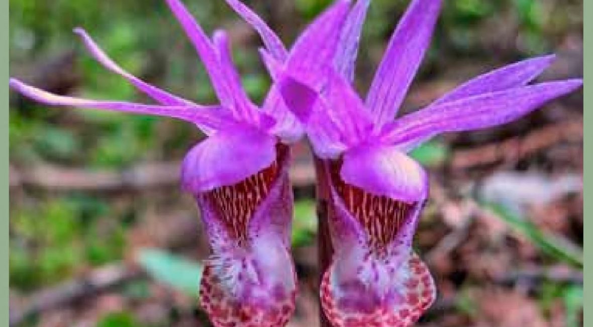 Read the full blog post