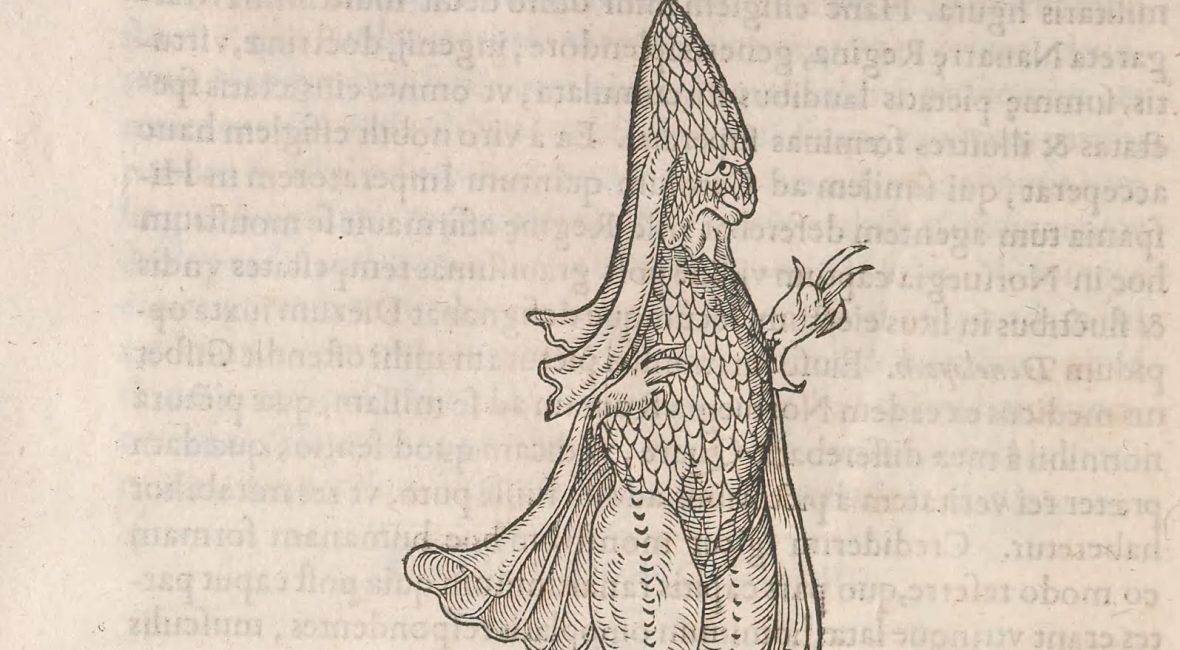 Read the full blog post