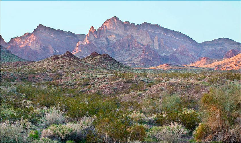 View Full Size Image