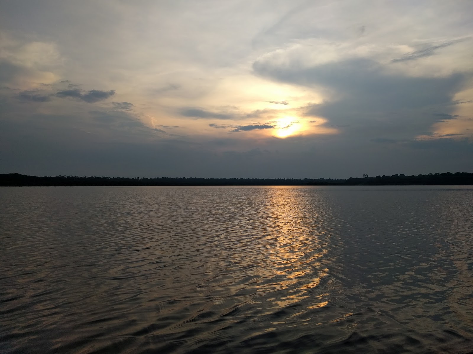 View Full Size Image