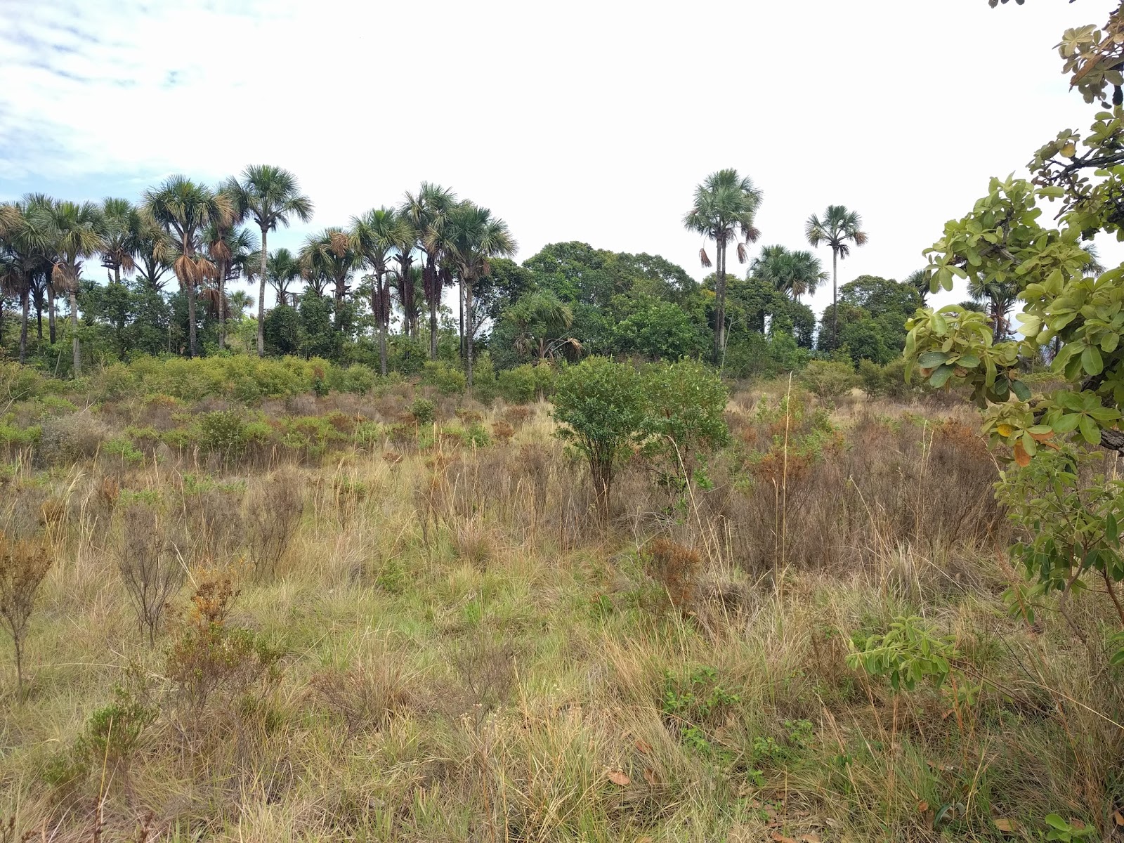 View Full Size Image