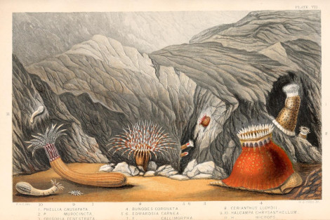 View Full Size Image