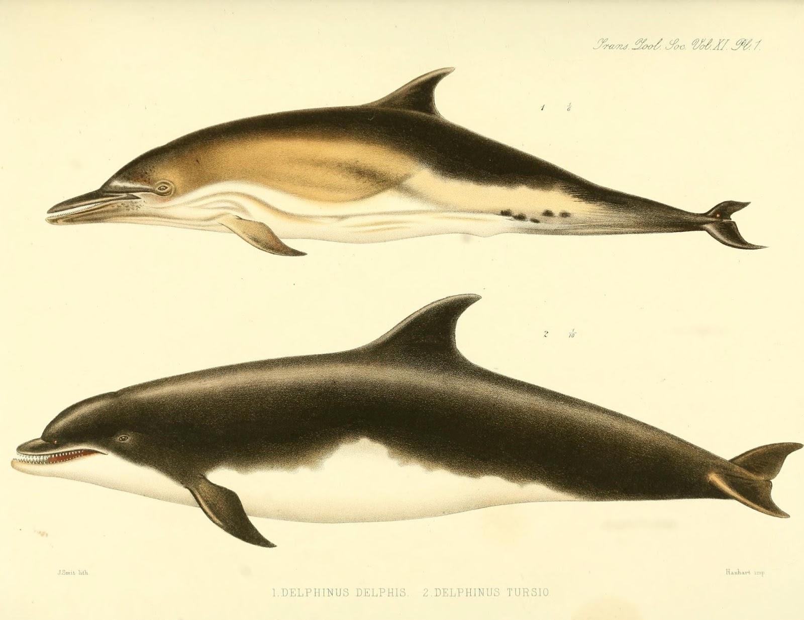 View Full Size Image