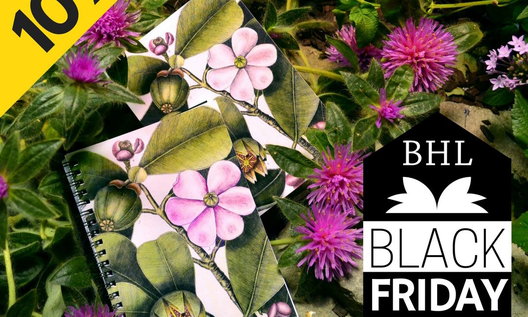 Read the full blog post