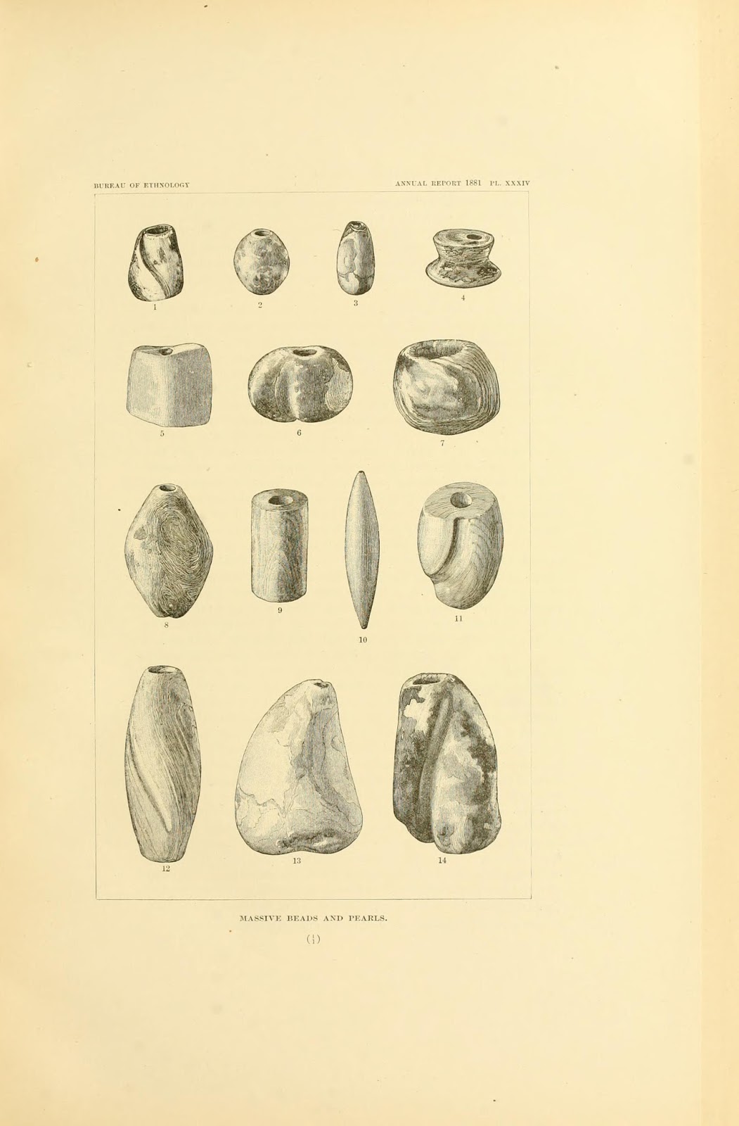 View Full Size Image