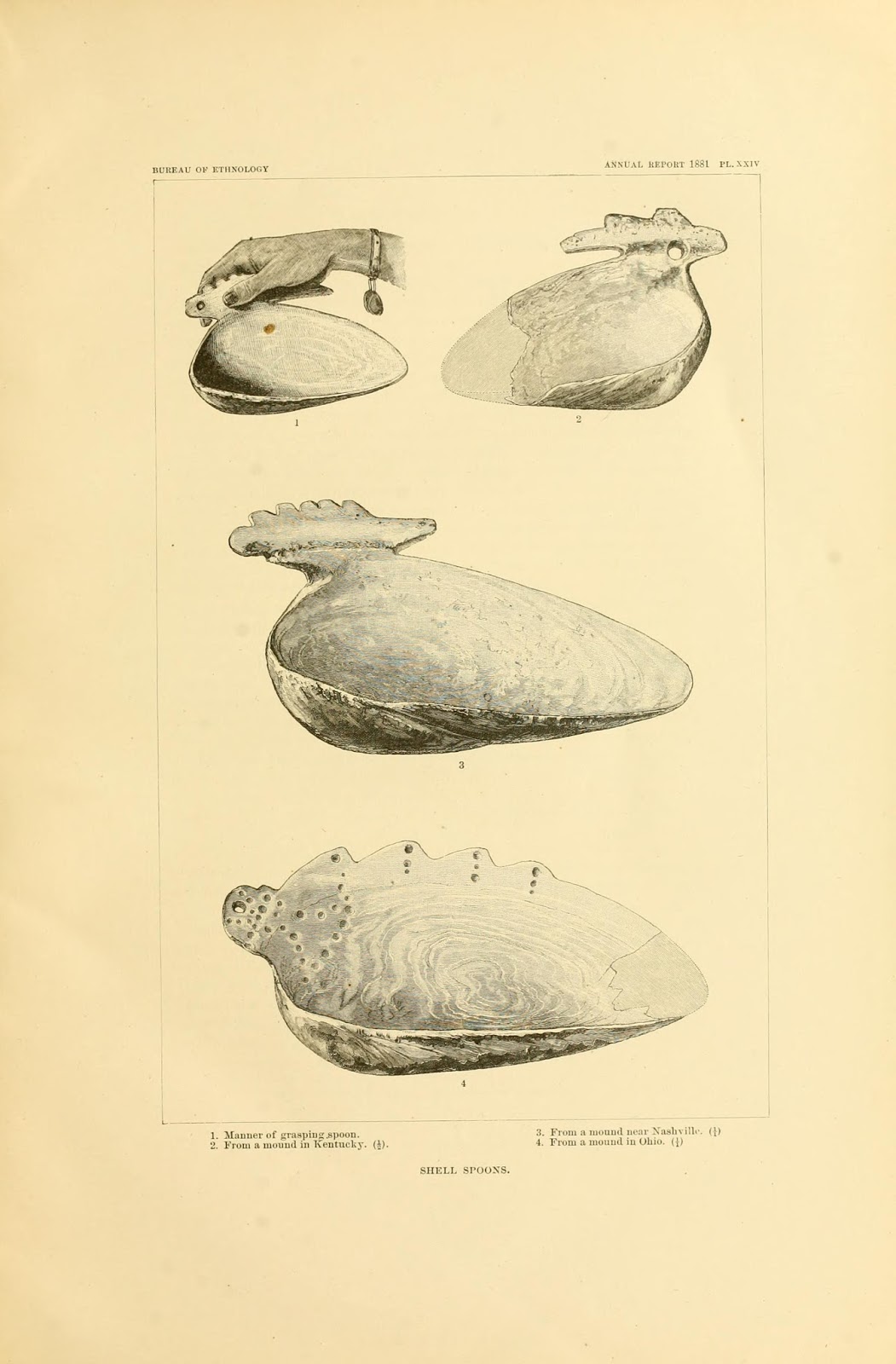 View Full Size Image