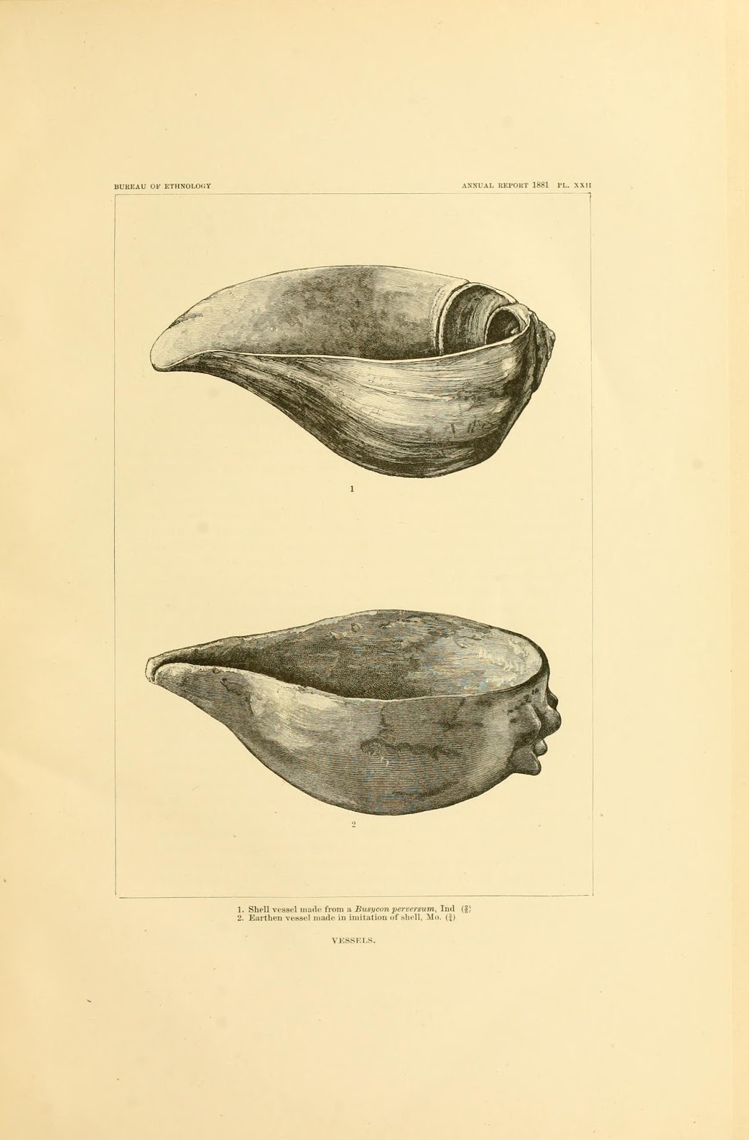 View Full Size Image