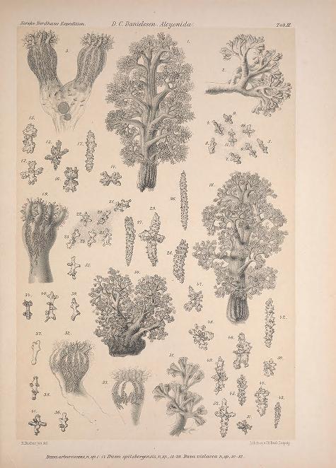 View Full Size Image