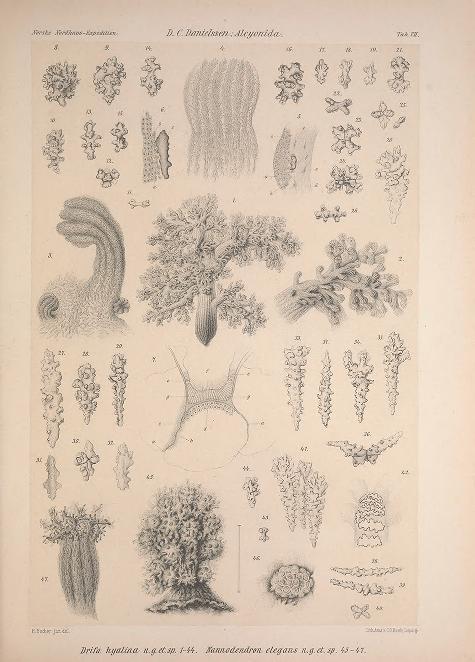 View Full Size Image