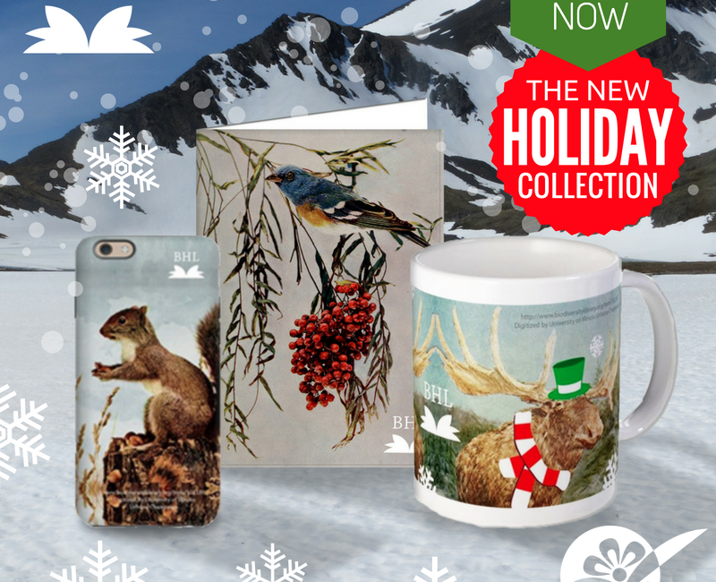 Read the full blog post