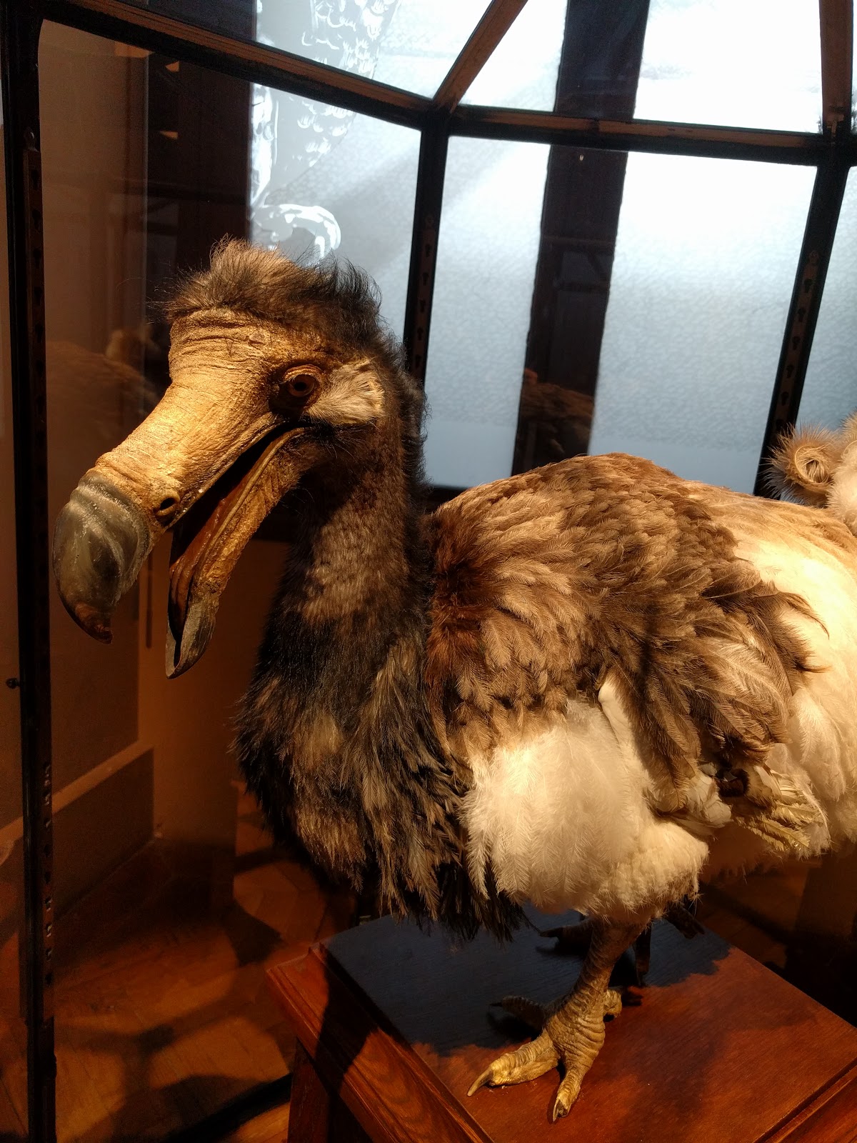 View Full Size Image