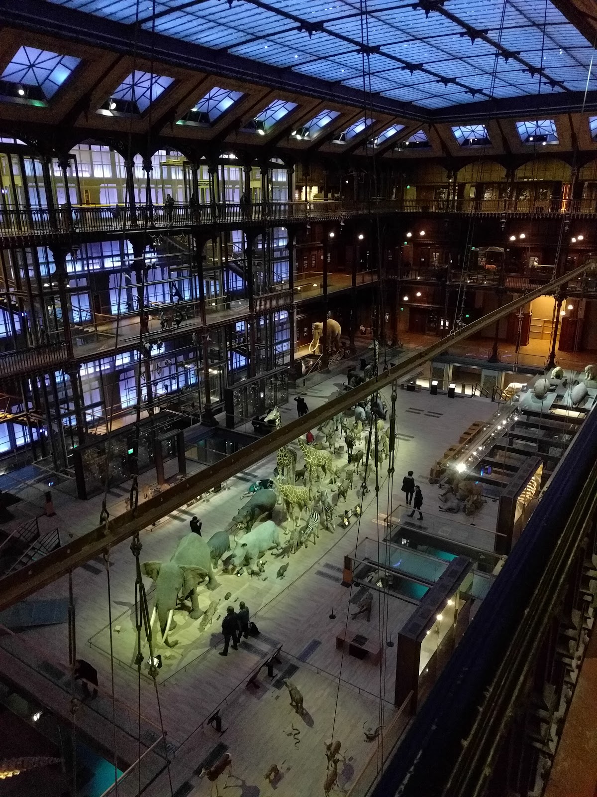 View Full Size Image