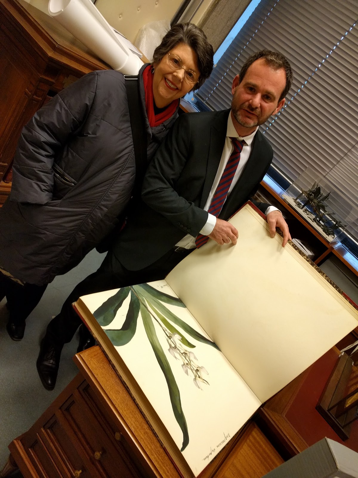 View Full Size Image