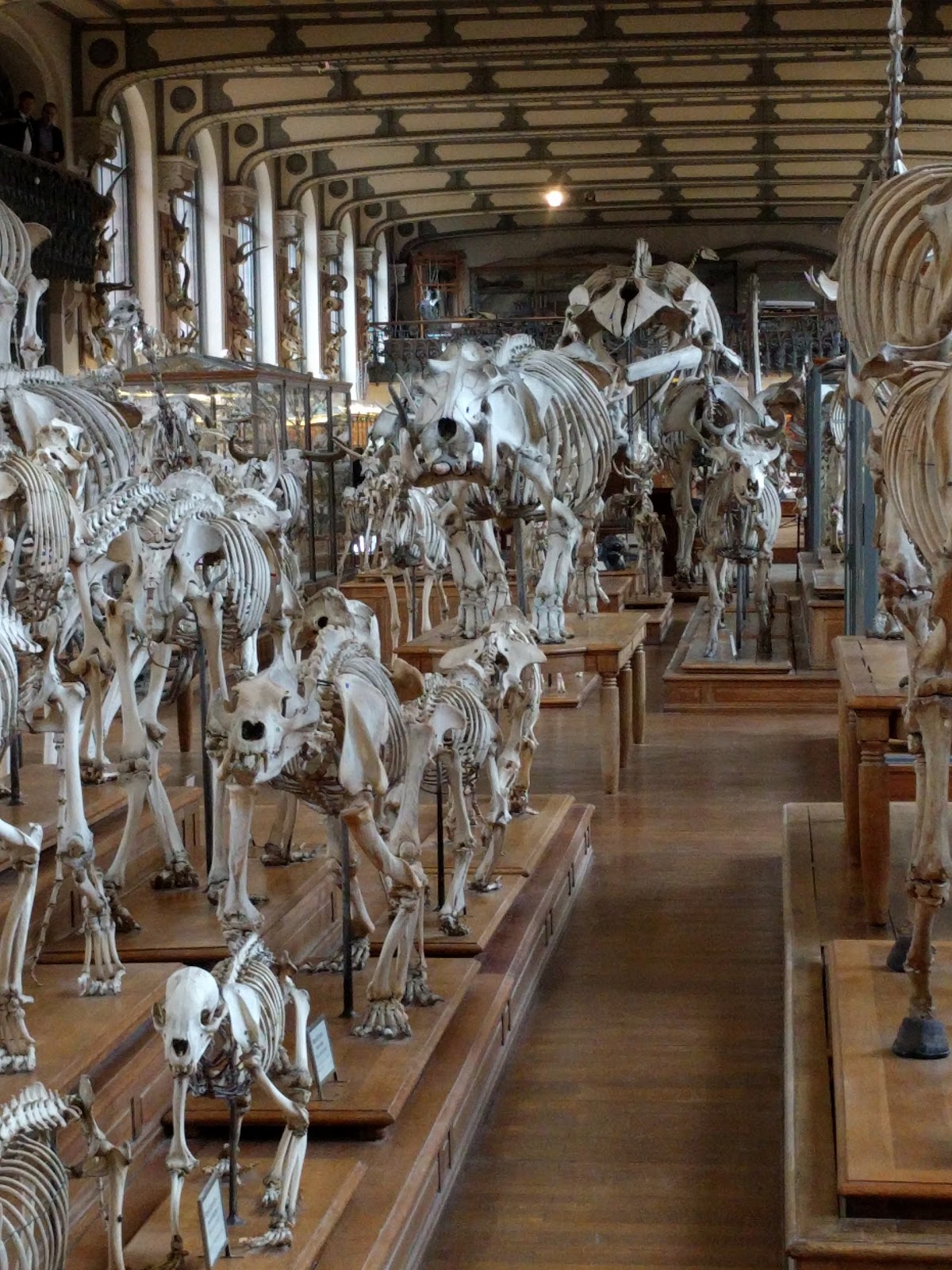 View Full Size Image