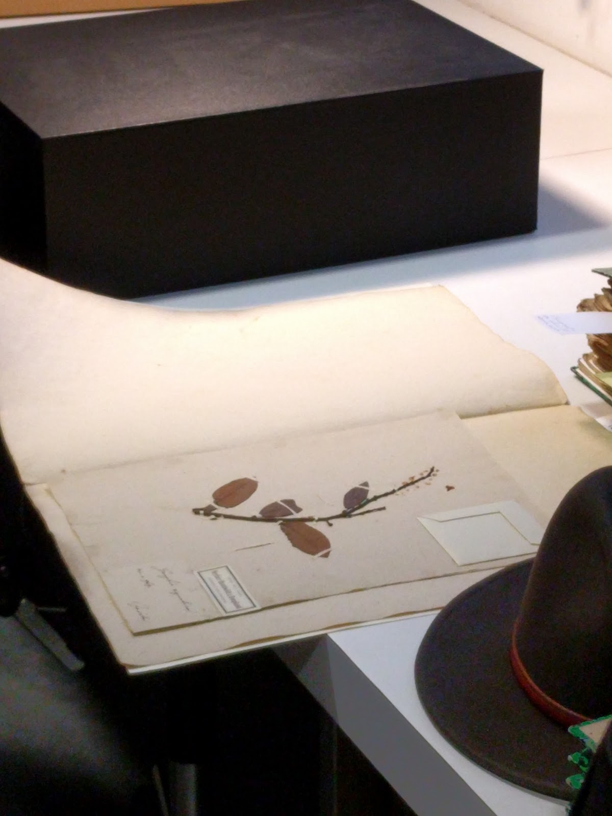 View Full Size Image