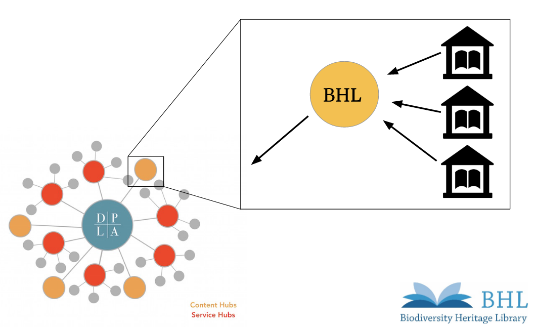 View Full Size Image