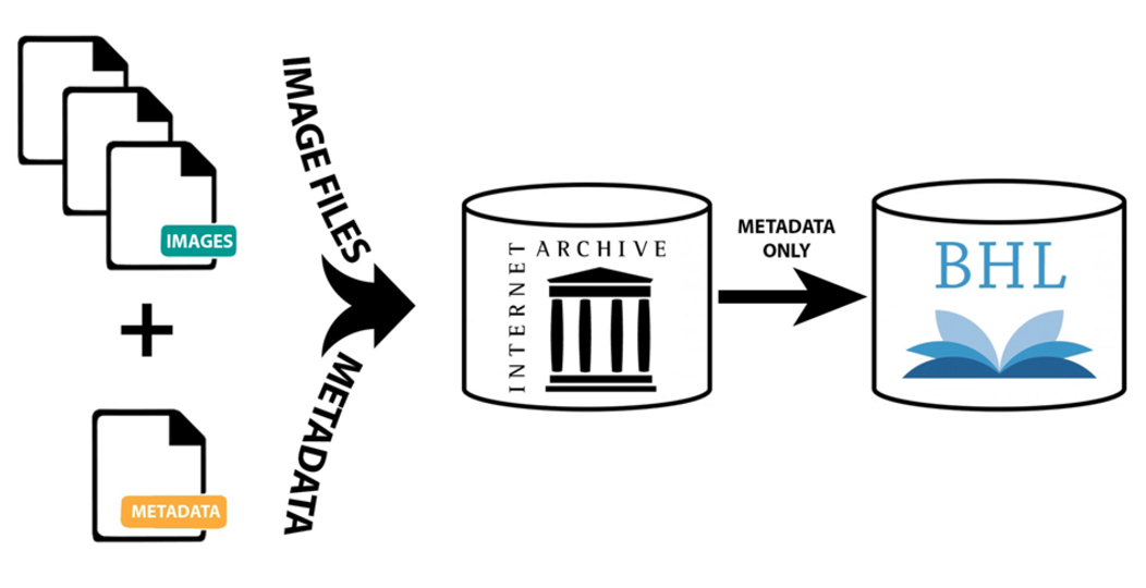 View Full Size Image