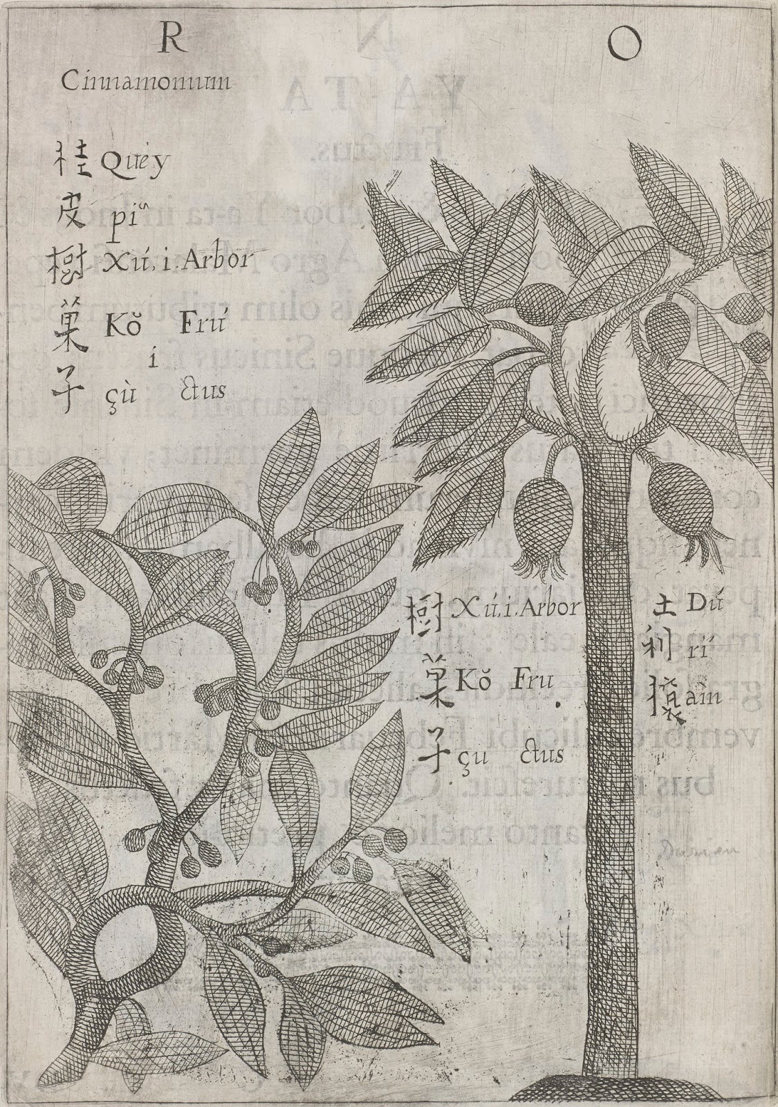 View Full Size Image