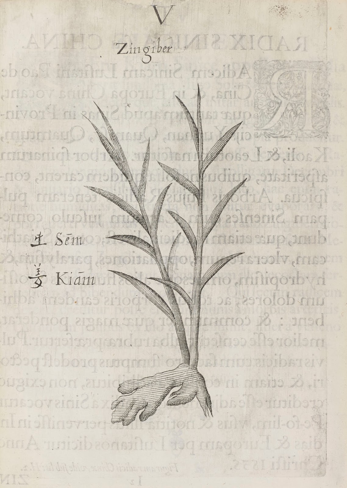 View Full Size Image