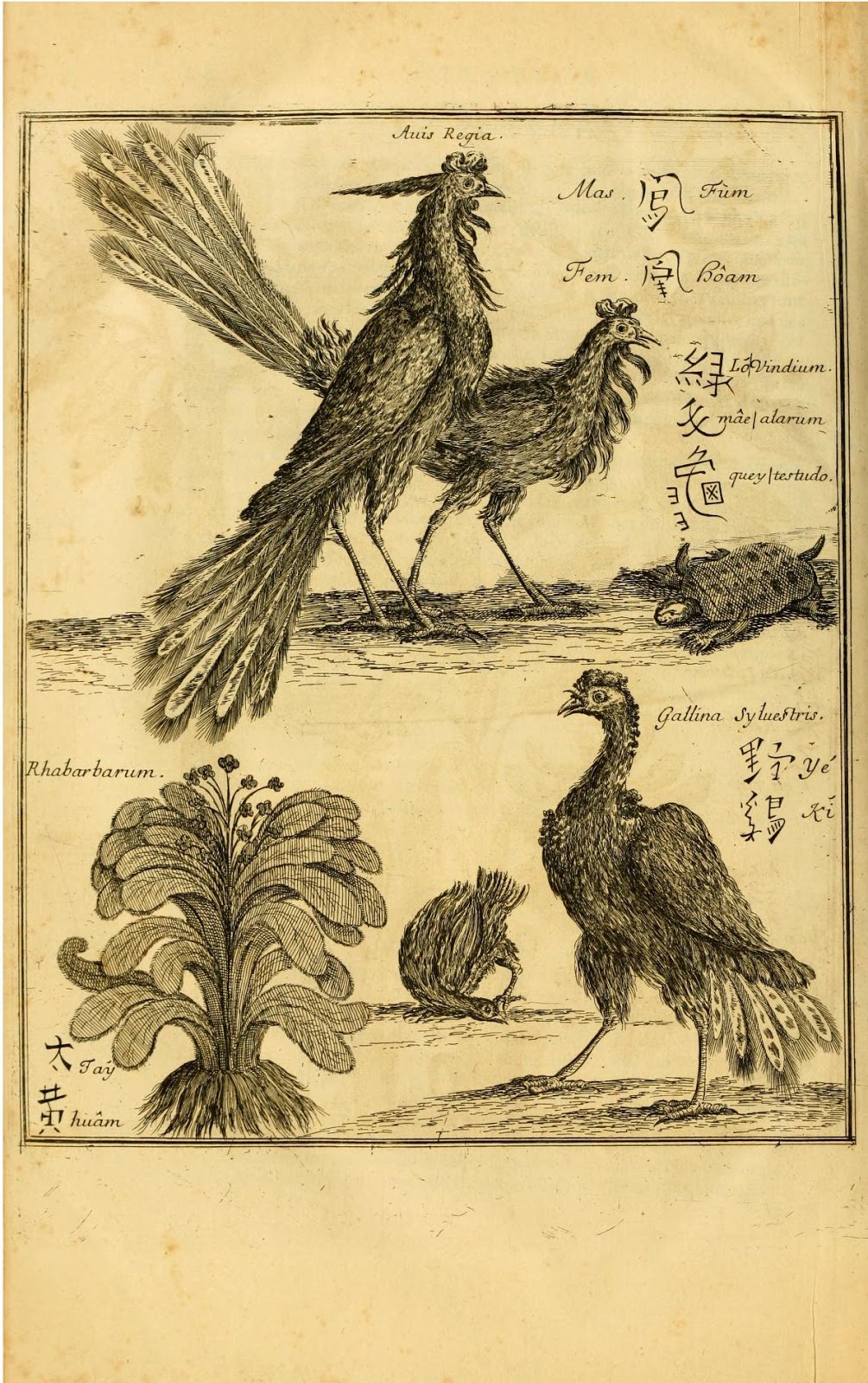 View Full Size Image