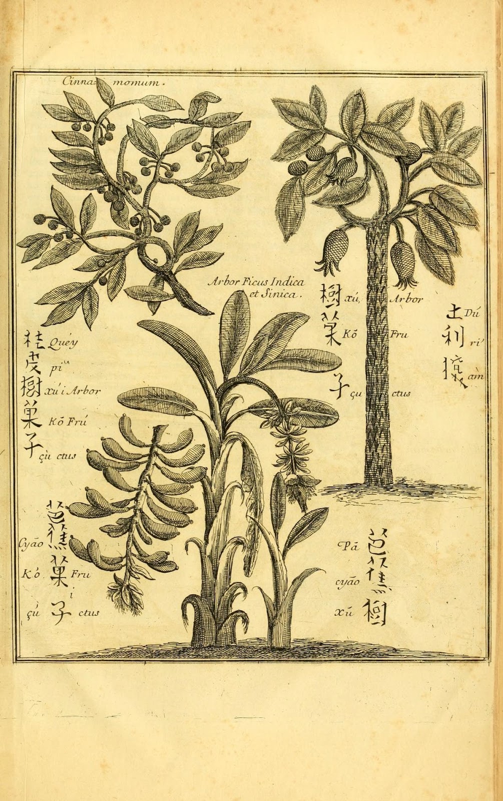 View Full Size Image