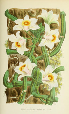 View Full Size Image