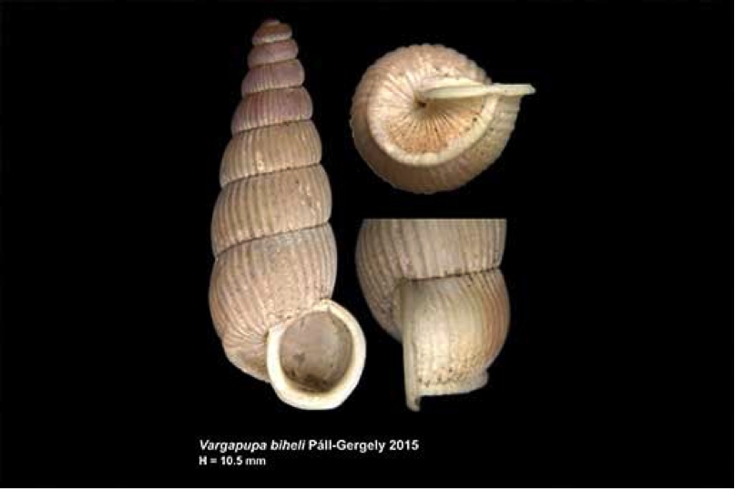 View Full Size Image