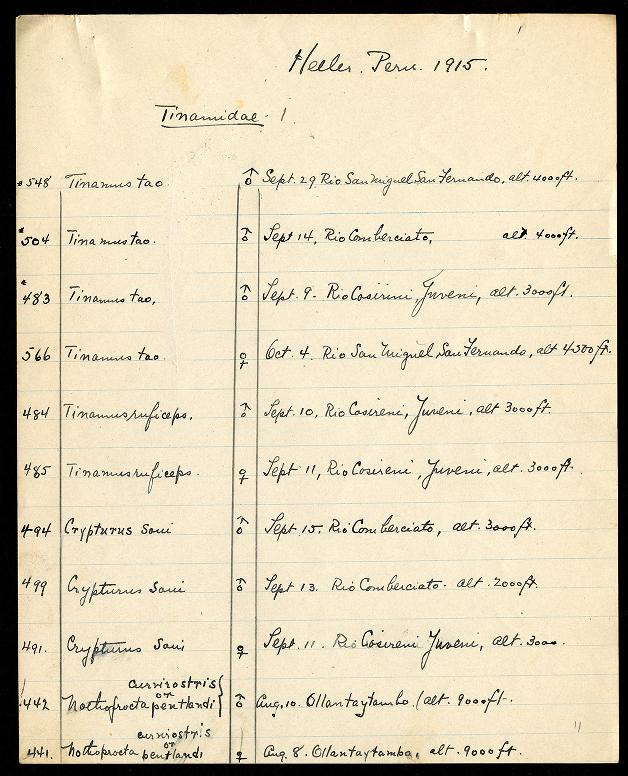 View Full Size Image