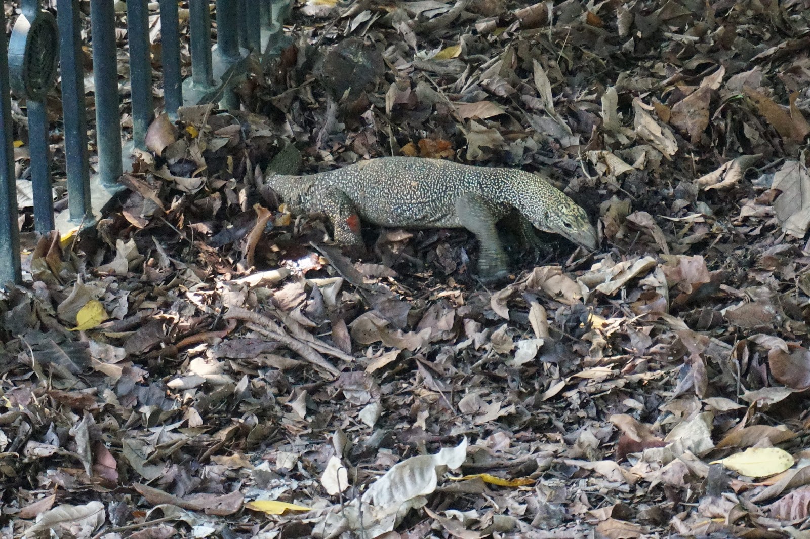 View Full Size Image