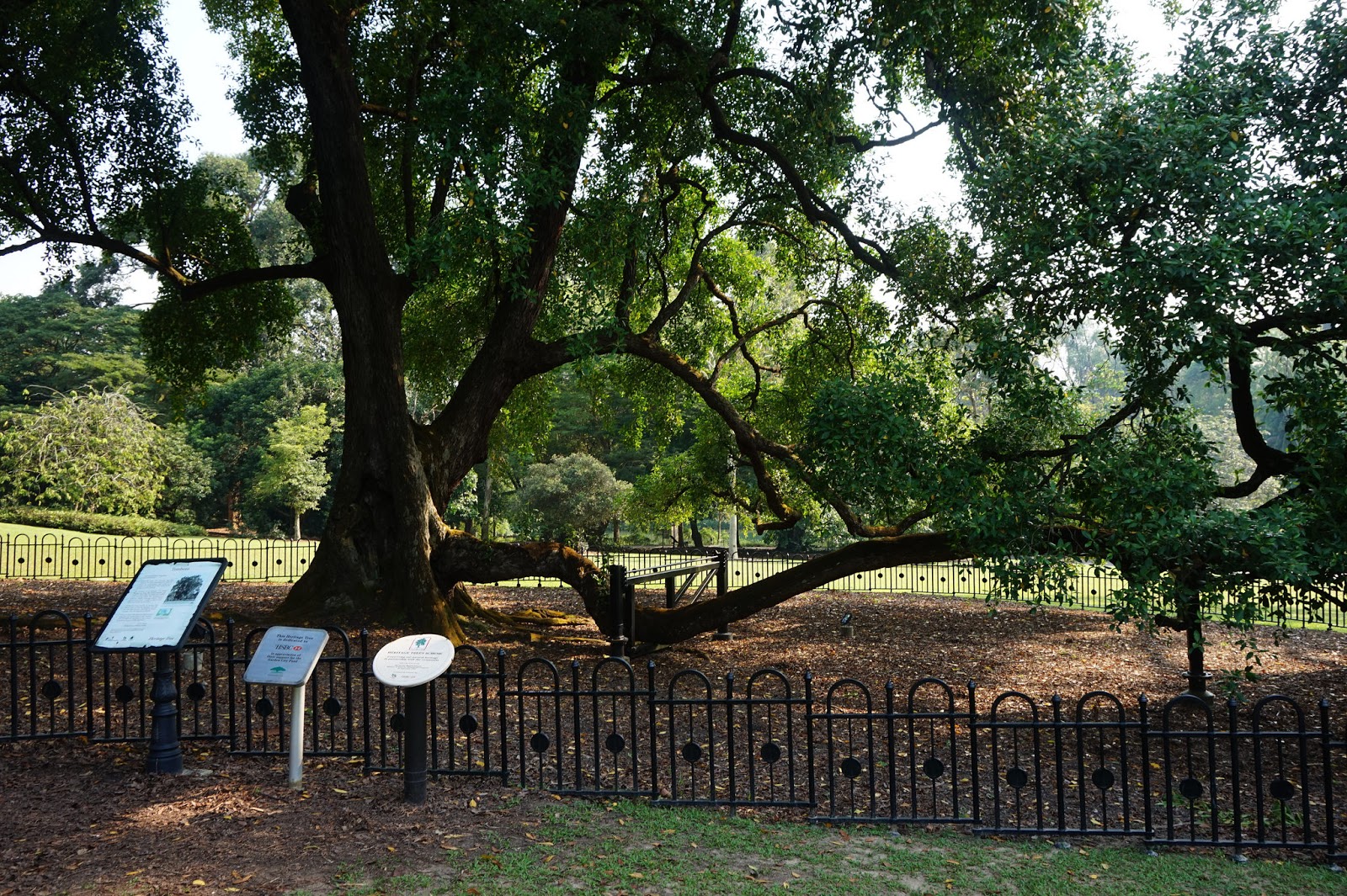 View Full Size Image