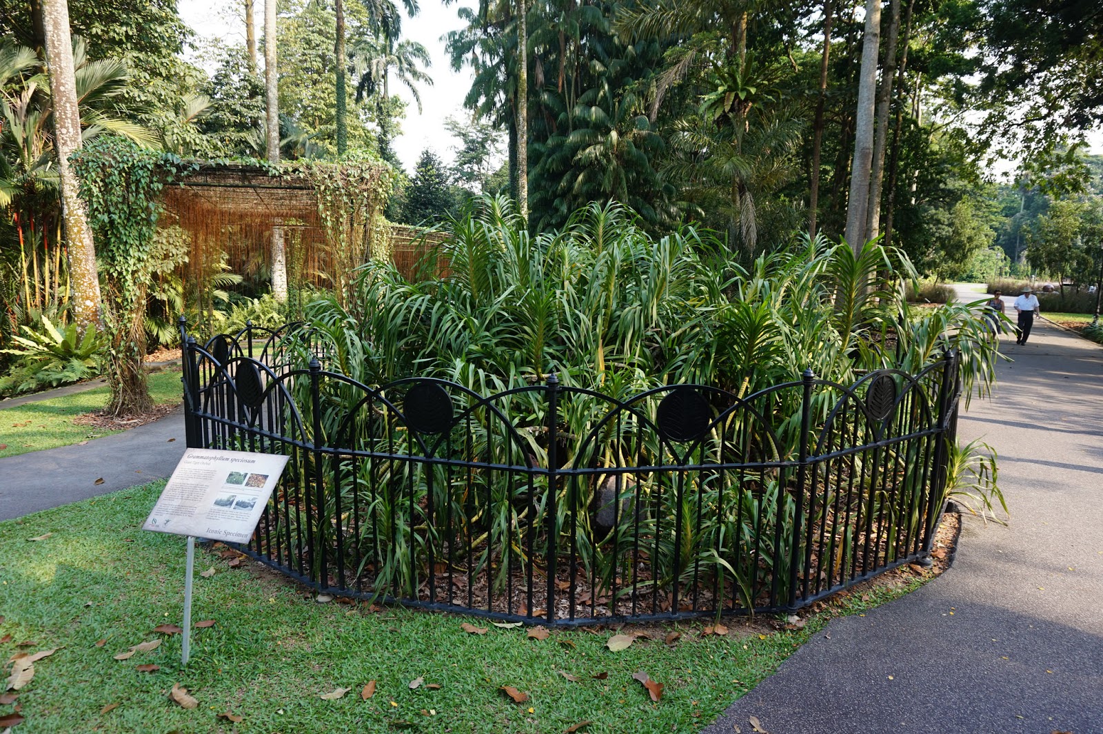 View Full Size Image