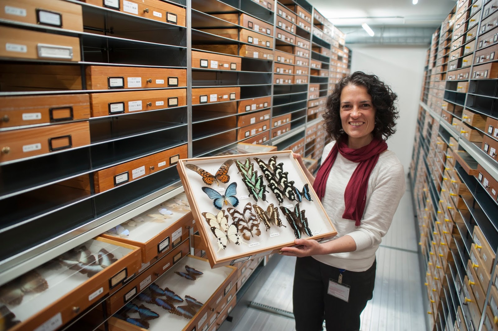 View Full Size Image