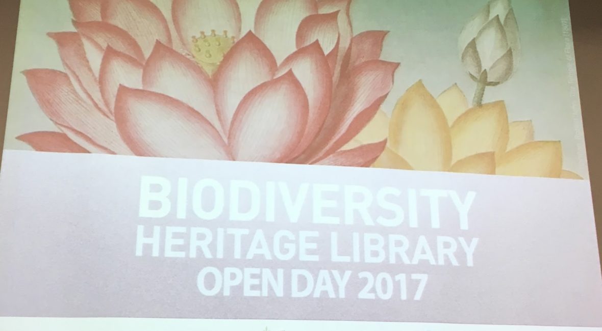 Read the full blog post