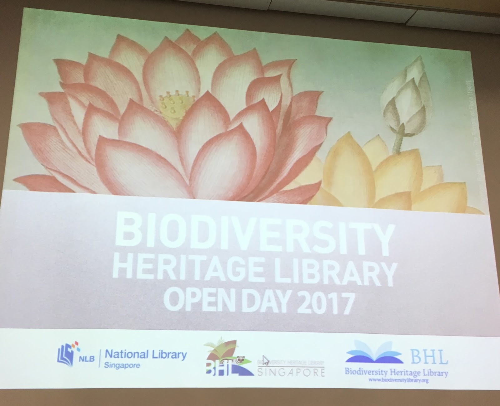 View Full Size Image