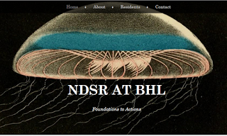 View Full Size Image